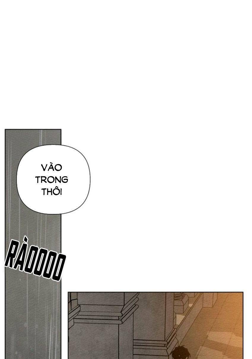 Dưới Bóng Cây Sồi Chapter 13 - Trang 2