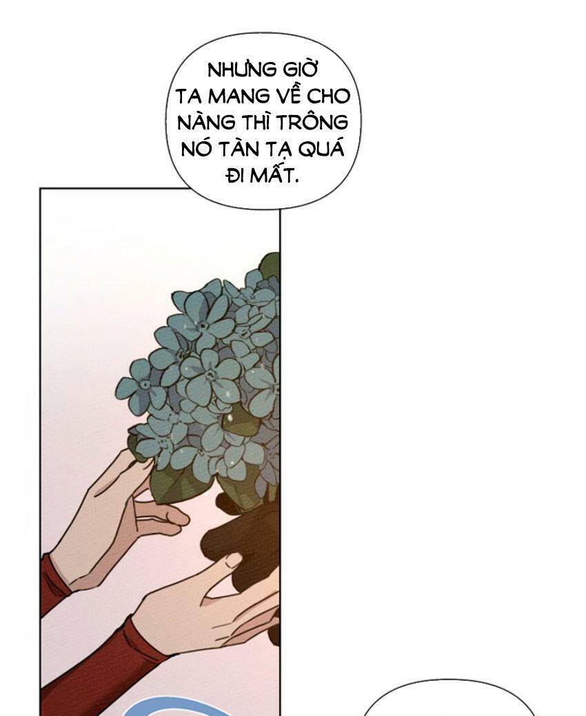 Dưới Bóng Cây Sồi Chapter 13 - Trang 2