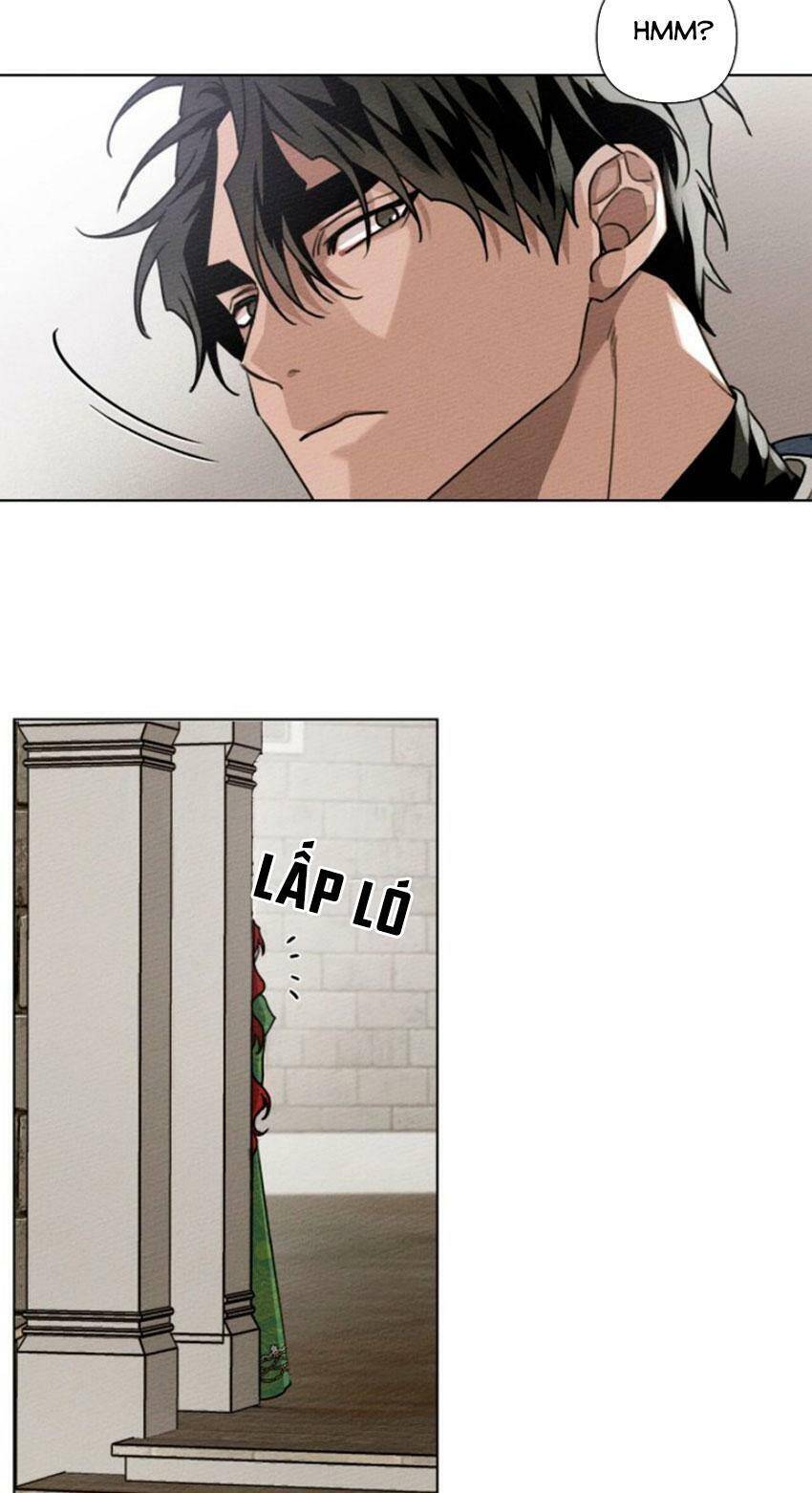 Dưới Bóng Cây Sồi Chapter 16 - Trang 2