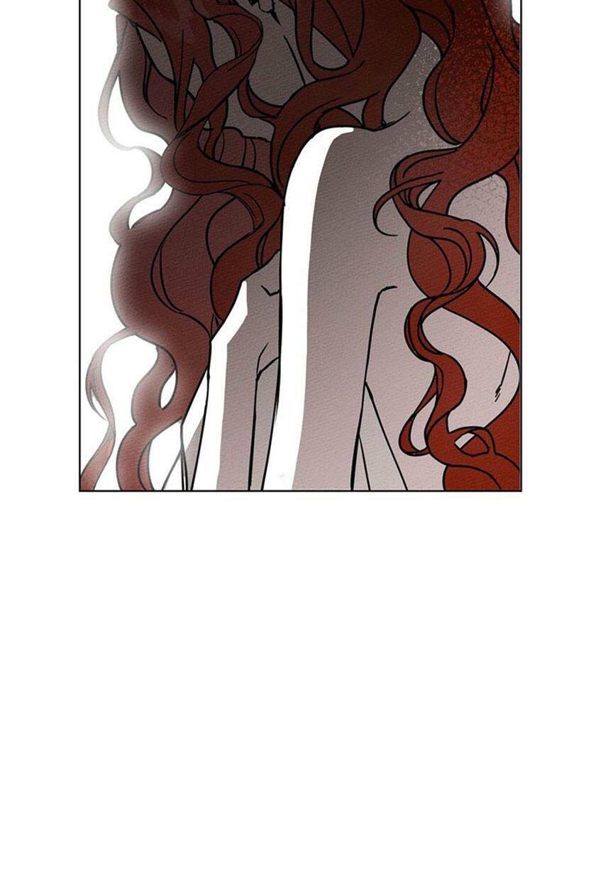 Dưới Bóng Cây Sồi Chapter 2 - Trang 2