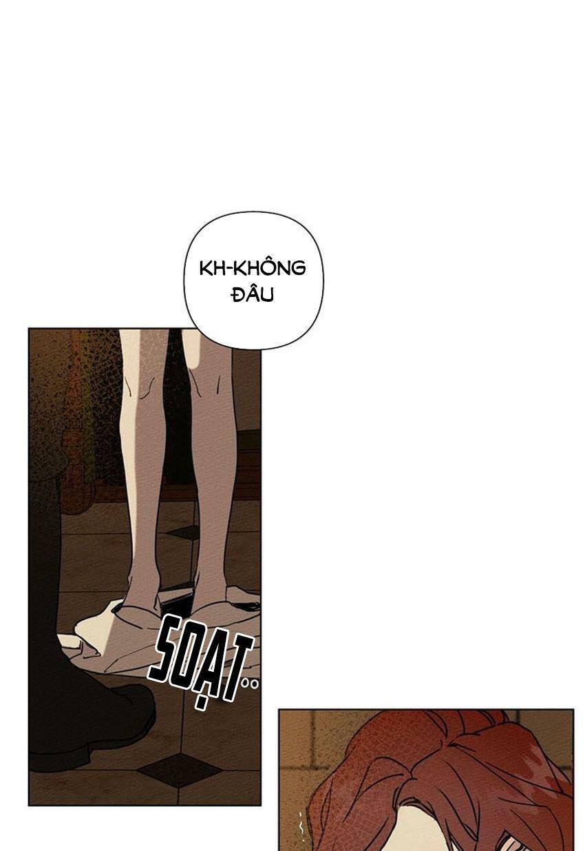 Dưới Bóng Cây Sồi Chapter 2 - Trang 2