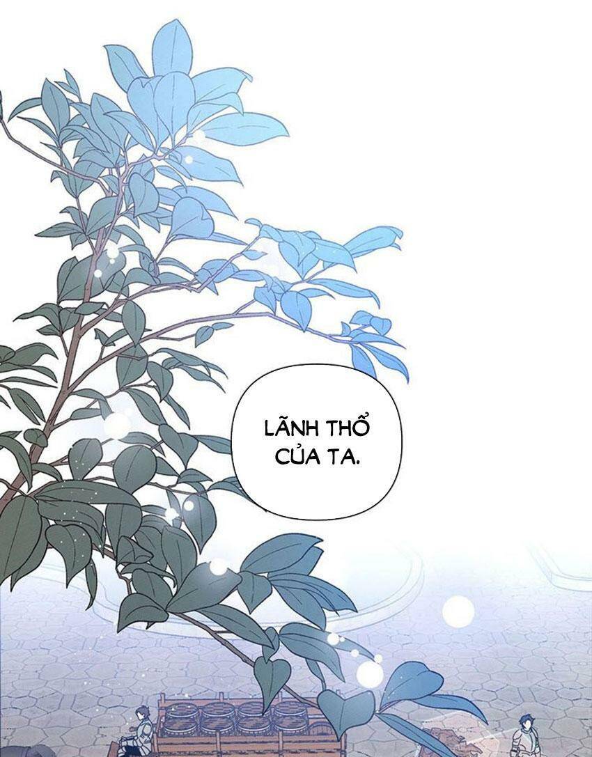 Dưới Bóng Cây Sồi Chapter 2 - Trang 2