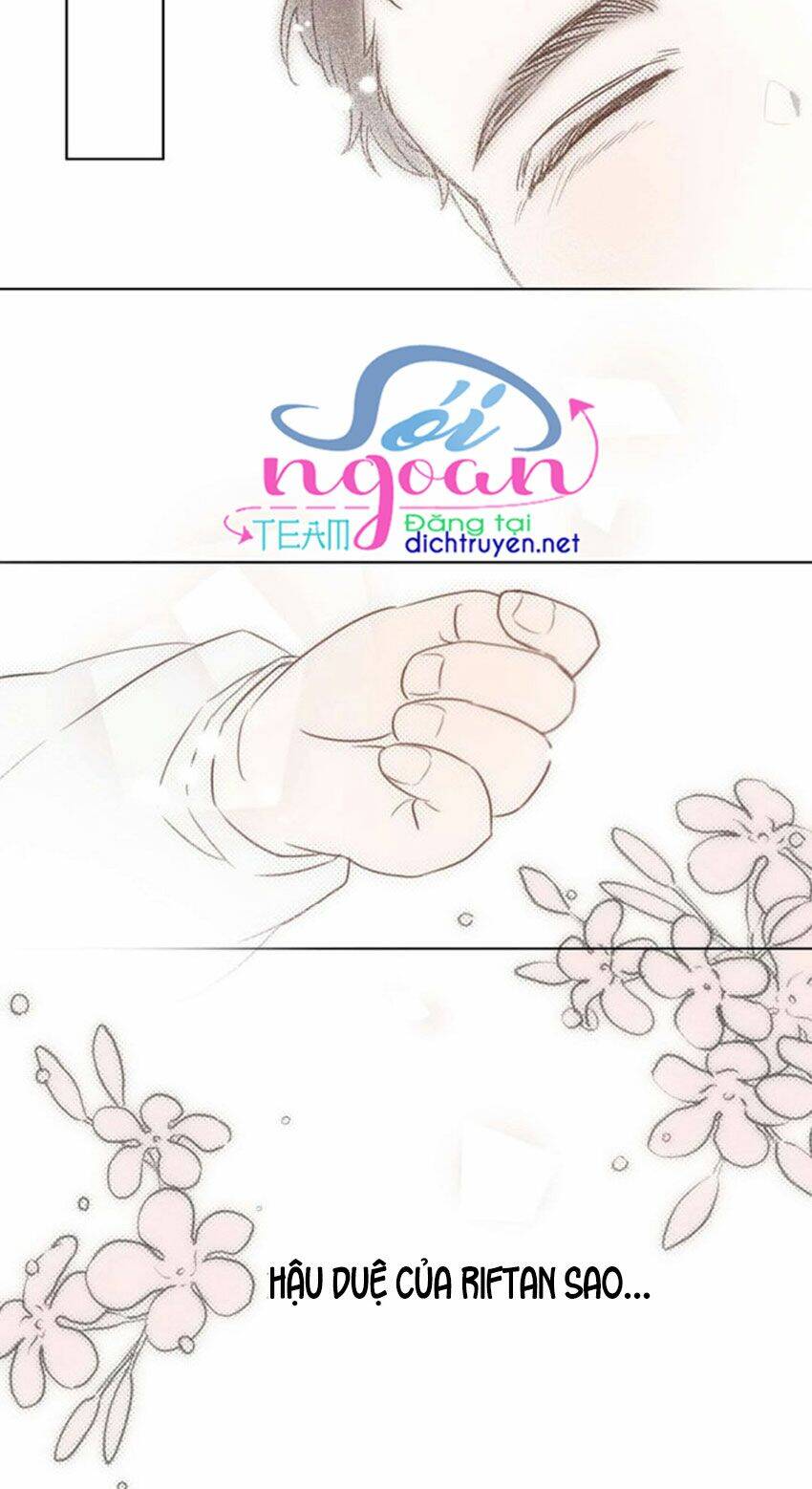 Dưới Bóng Cây Sồi Chapter 21 - Trang 2