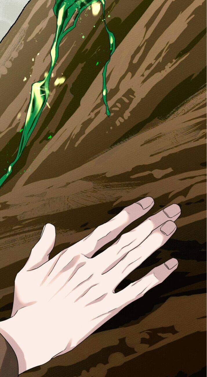 Dưới Bóng Cây Sồi Chapter 23 - Trang 2