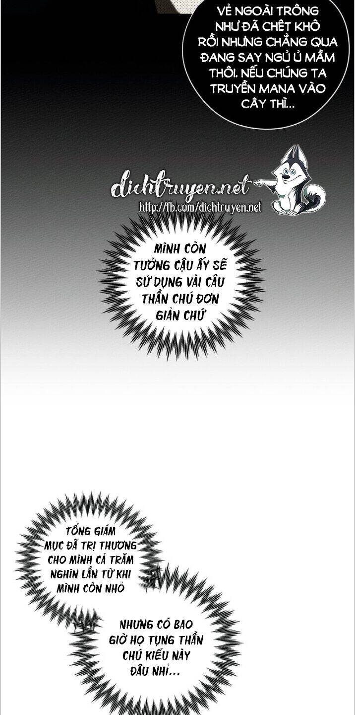 Dưới Bóng Cây Sồi Chapter 23 - Trang 2