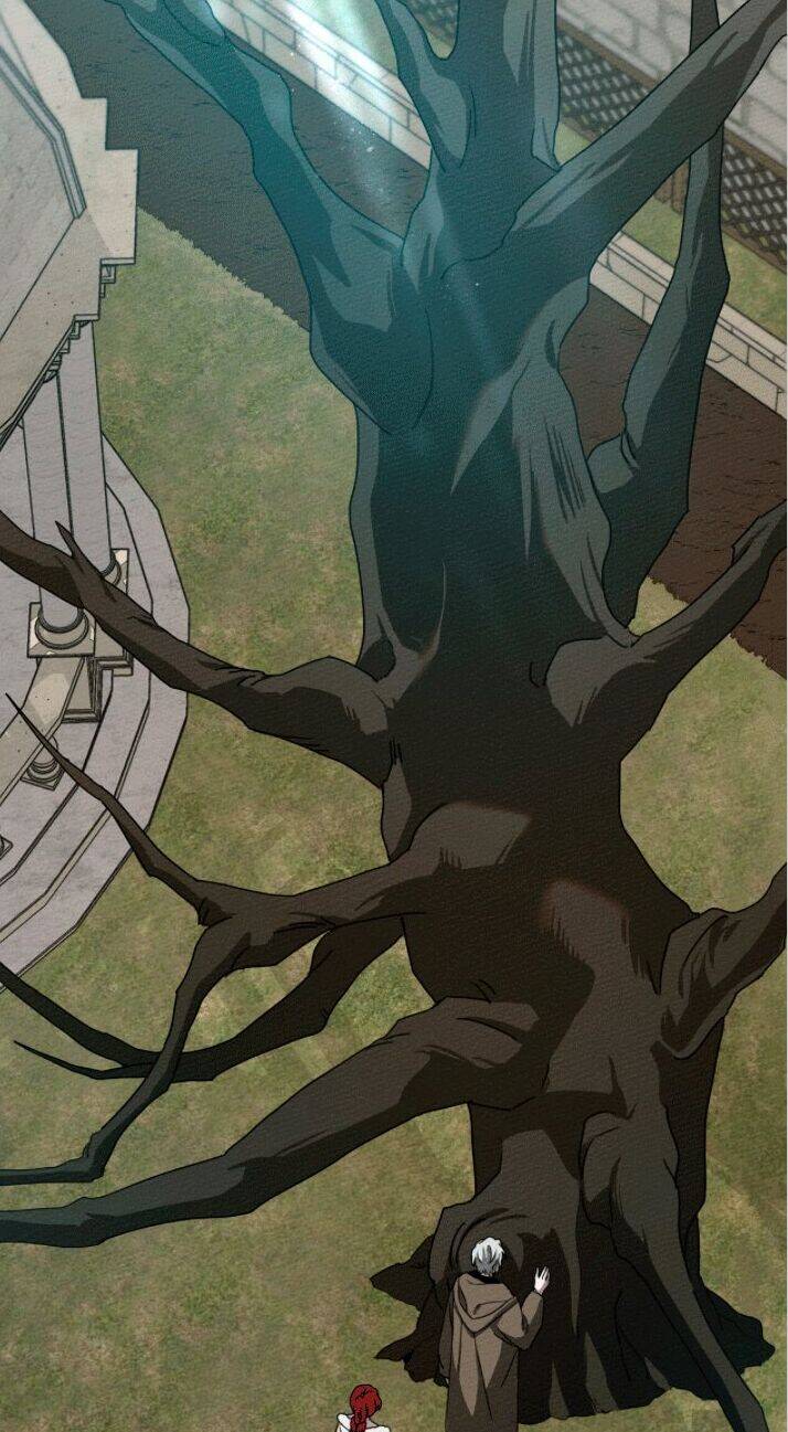 Dưới Bóng Cây Sồi Chapter 23 - Trang 2