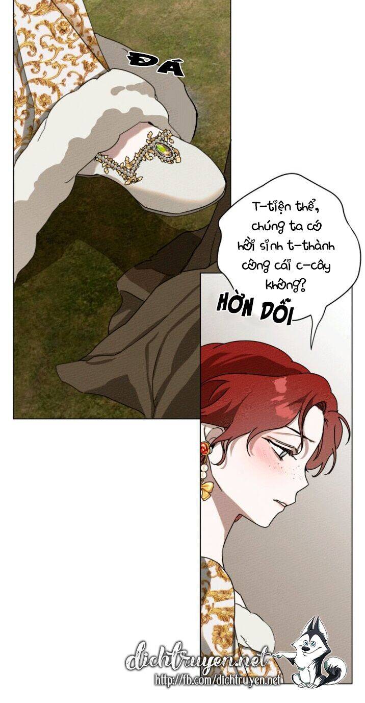 Dưới Bóng Cây Sồi Chapter 23 - Trang 2