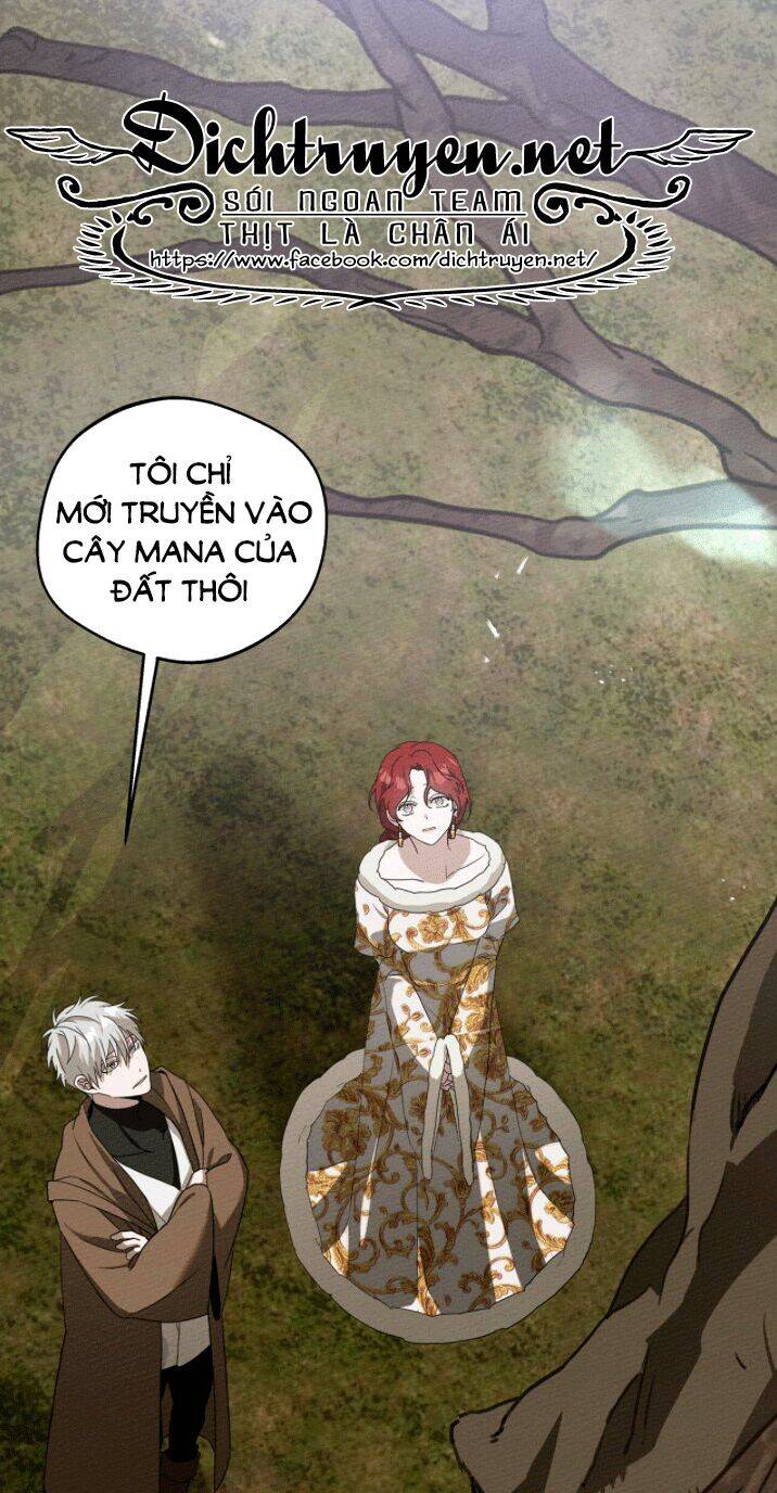 Dưới Bóng Cây Sồi Chapter 23 - Trang 2