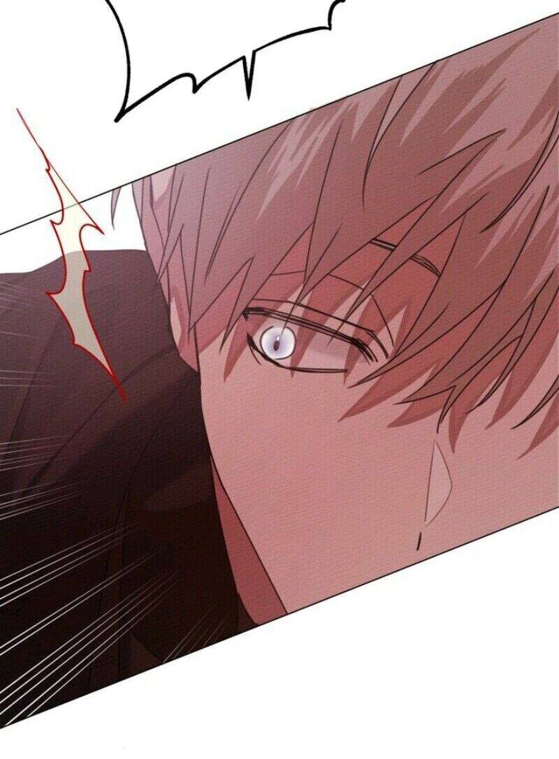 Dưới Bóng Cây Sồi Chapter 24 - Trang 2