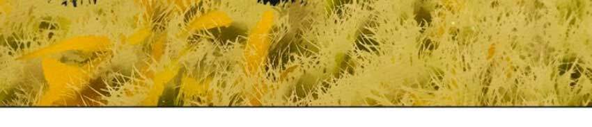 Dưới Bóng Cây Sồi Chapter 34 - Trang 2