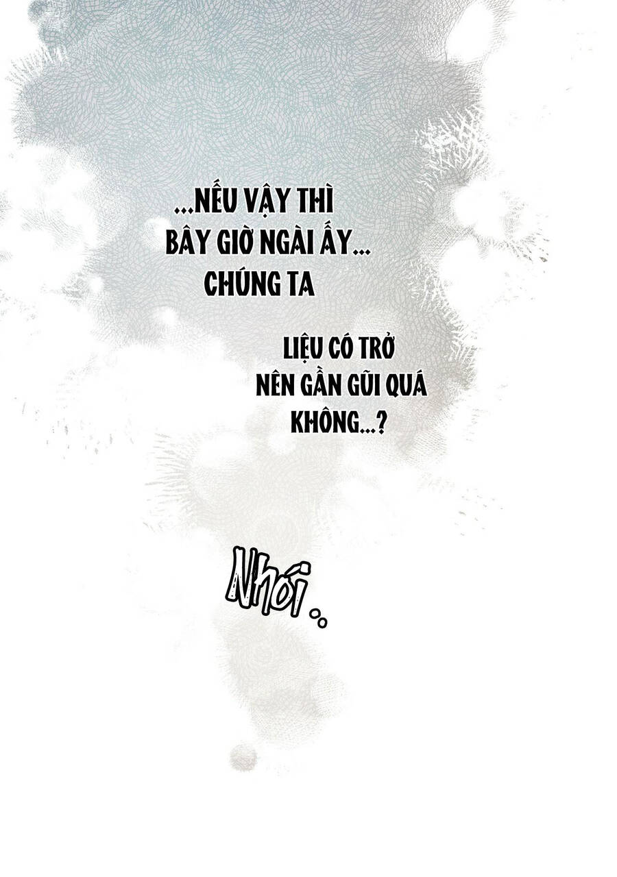 Dưới Bóng Cây Sồi Chapter 36 - Trang 2