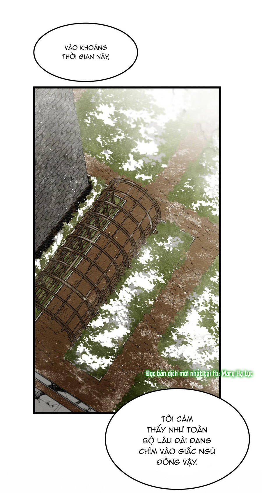 Dưới Bóng Cây Sồi Chapter 38 - Trang 2