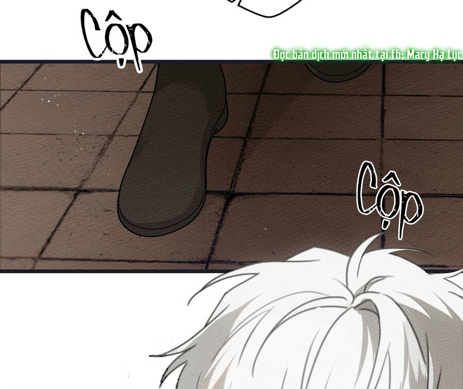 Dưới Bóng Cây Sồi Chapter 38 - Trang 2