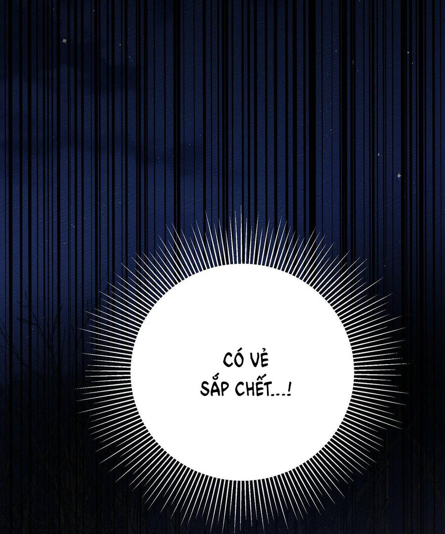 Dưới Bóng Cây Sồi Chapter 40.2 - Trang 2