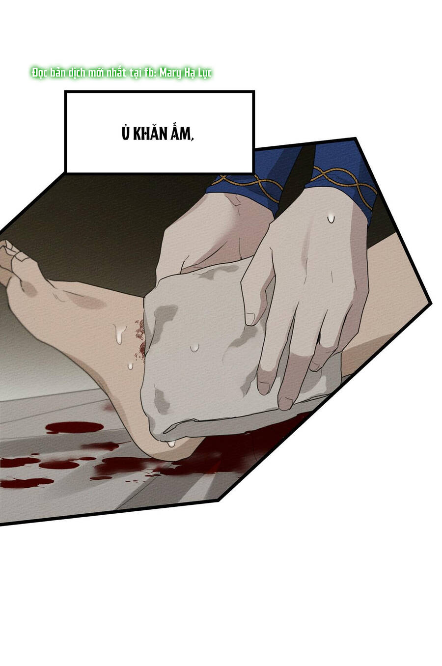 Dưới Bóng Cây Sồi Chapter 40.2 - Trang 2