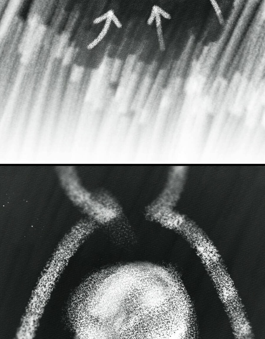 Dưới Bóng Cây Sồi Chapter 43.2 - Trang 2