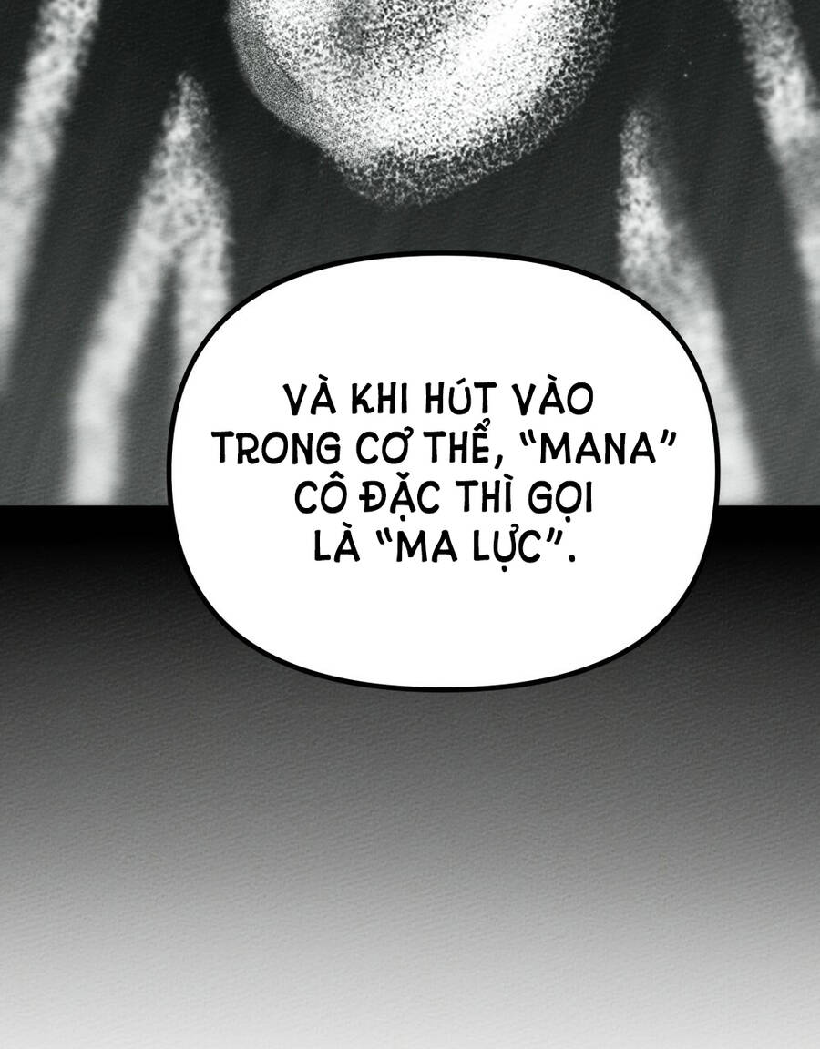 Dưới Bóng Cây Sồi Chapter 43.2 - Trang 2