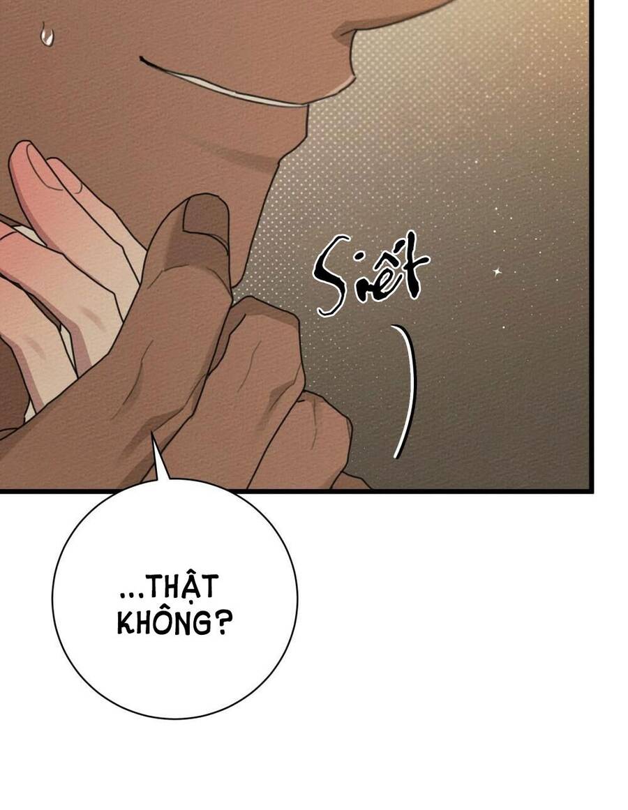 Dưới Bóng Cây Sồi Chapter 45.1 - Trang 2