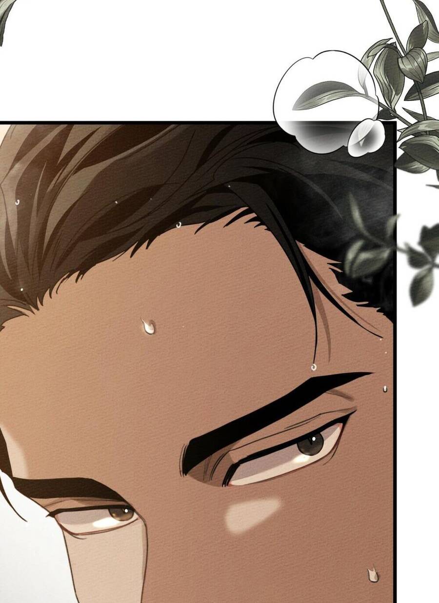 Dưới Bóng Cây Sồi Chapter 45.1 - Trang 2