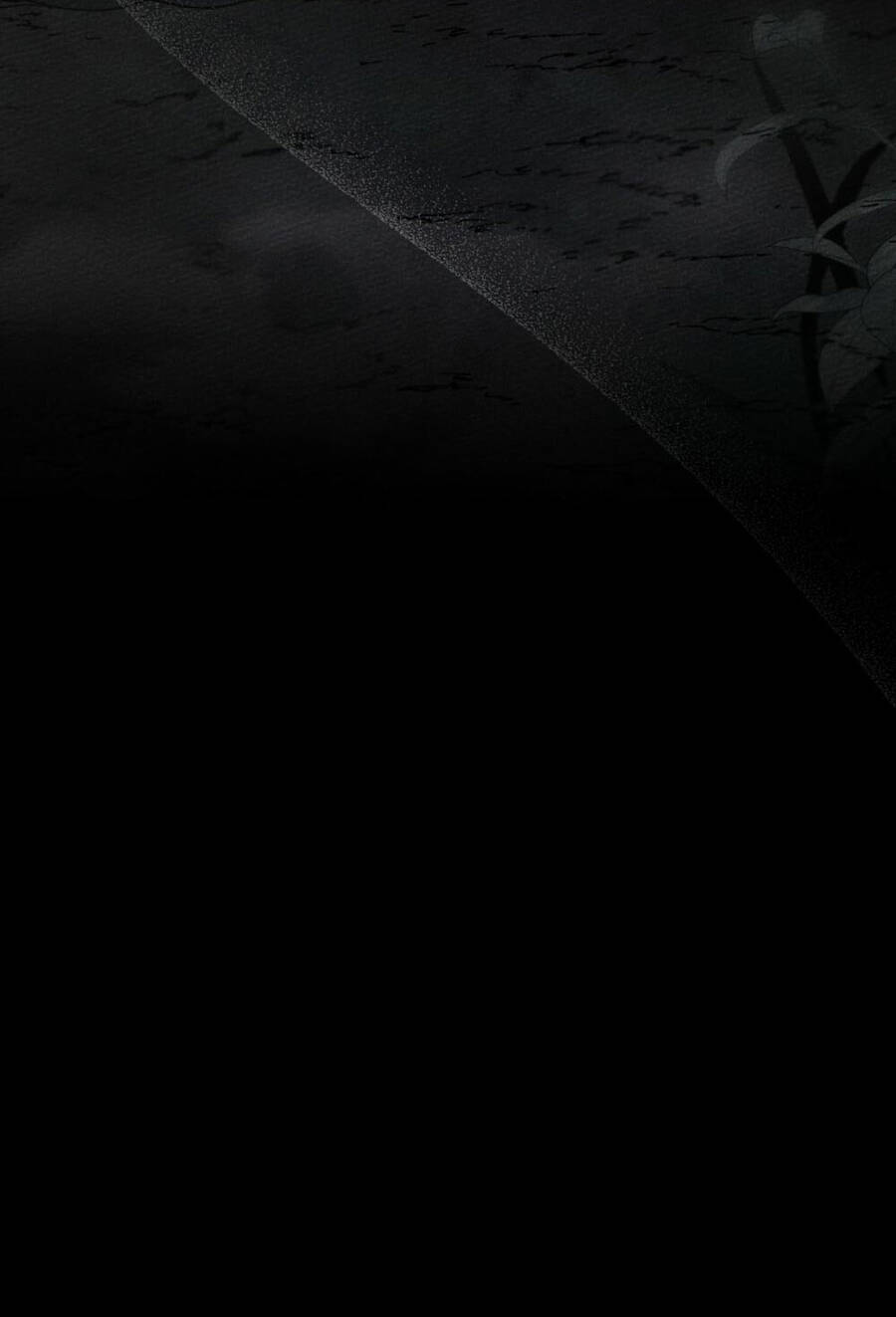 Dưới Bóng Cây Sồi Chapter 46.1 - Trang 2