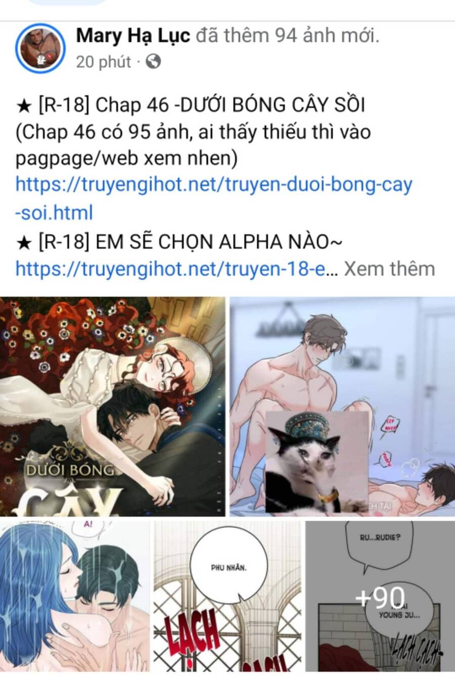 Dưới Bóng Cây Sồi Chapter 46.3 - Trang 2
