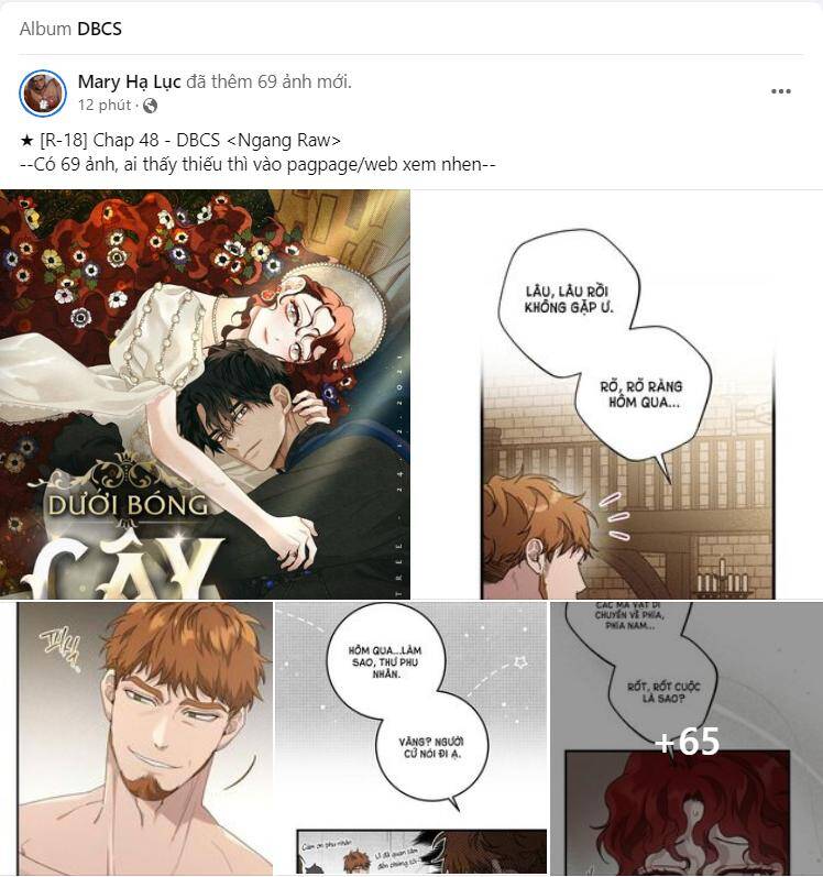 Dưới Bóng Cây Sồi Chapter 48.1 - Trang 2