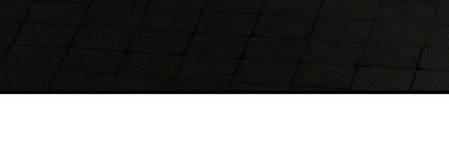 Dưới Bóng Cây Sồi Chapter 49.1 - Trang 2