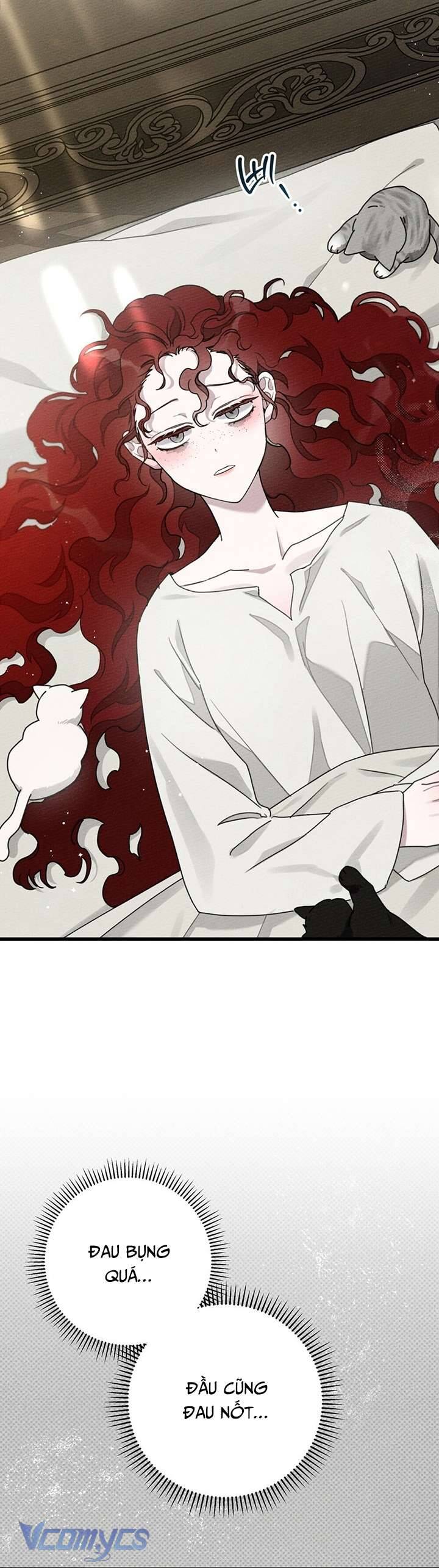 Dưới Bóng Cây Sồi Chapter 49 - Trang 2