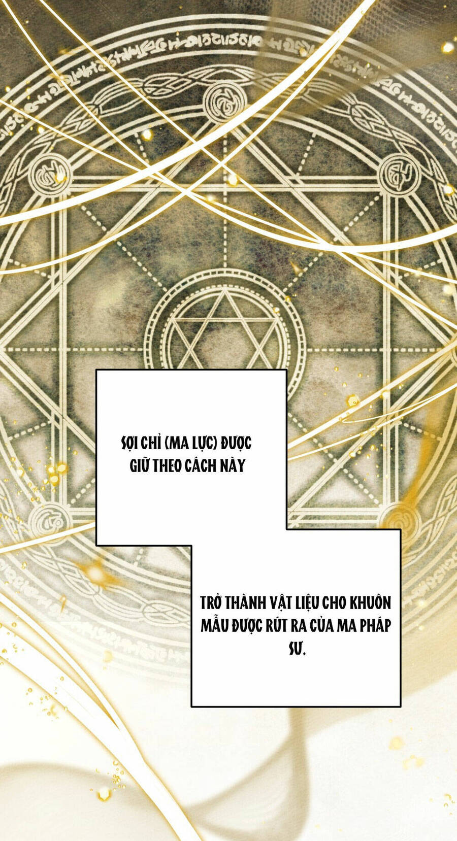 Dưới Bóng Cây Sồi Chapter 57.1 - Trang 2