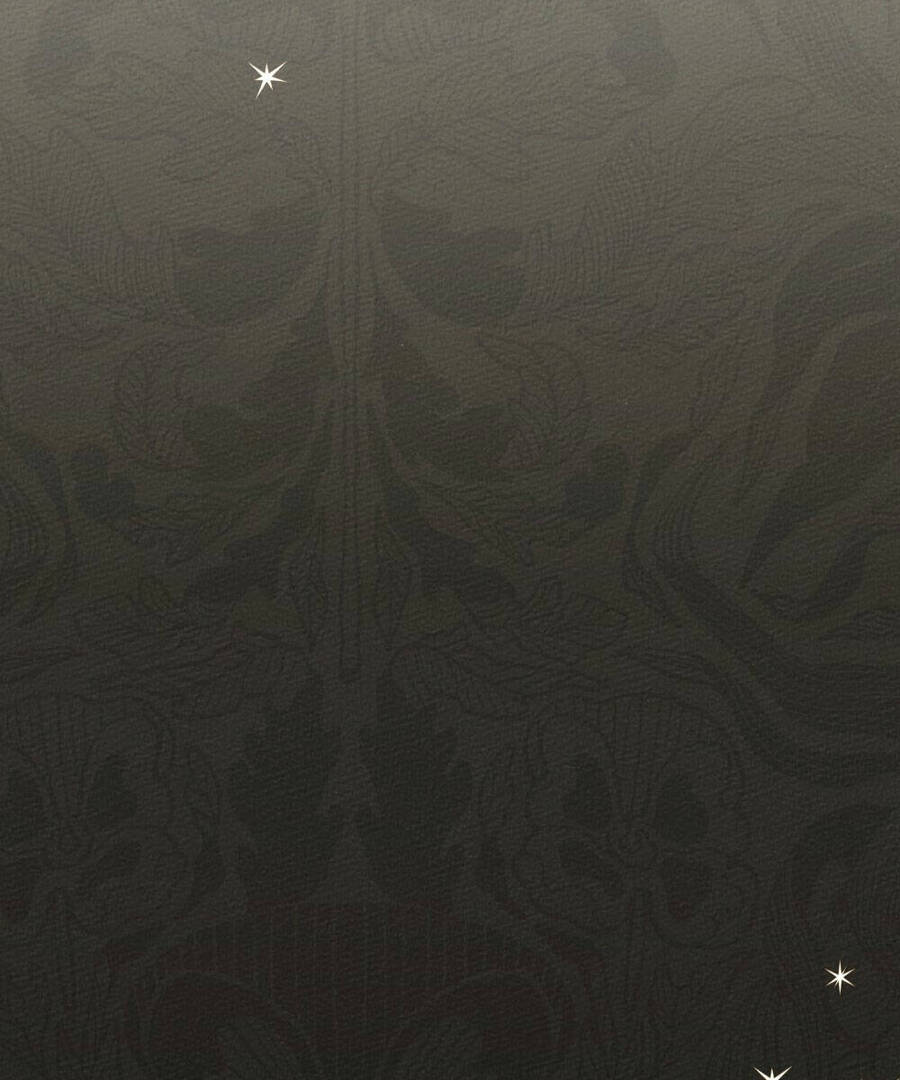 Dưới Bóng Cây Sồi Chapter 57.2 - Trang 2