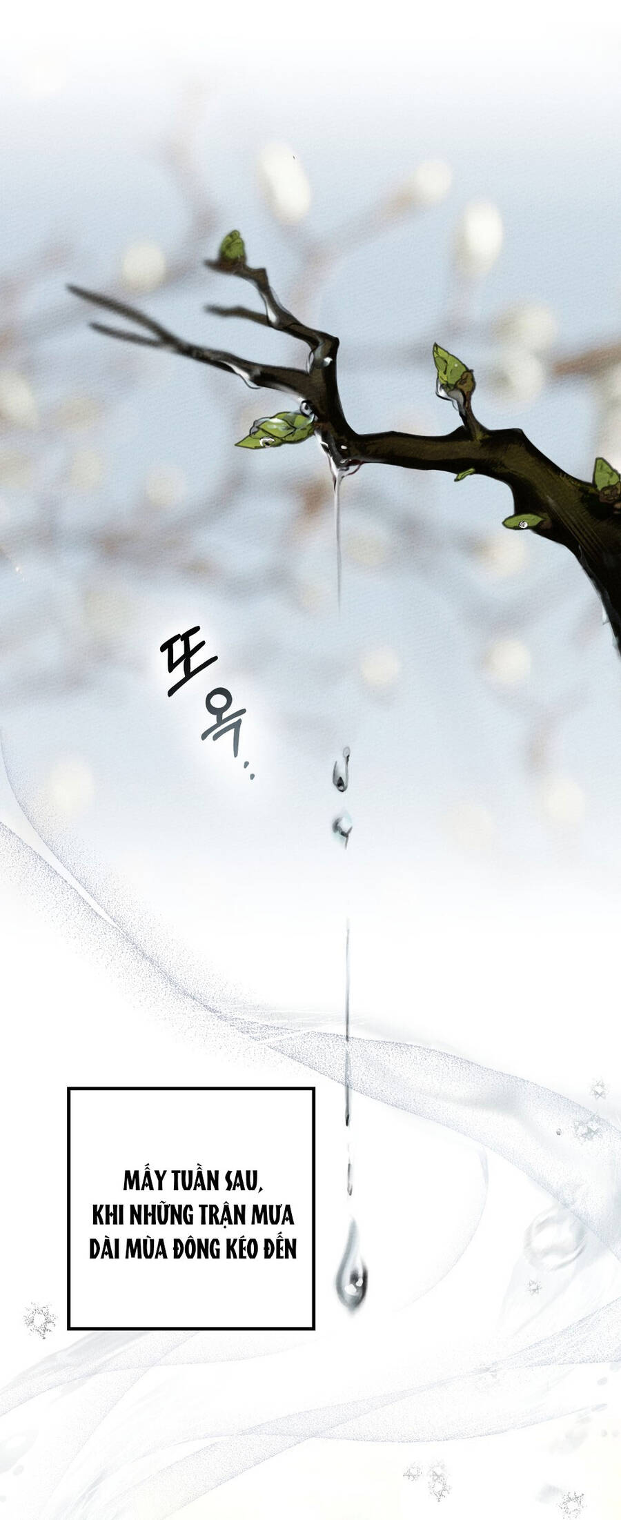 Dưới Bóng Cây Sồi Chapter 63.2 - Trang 2