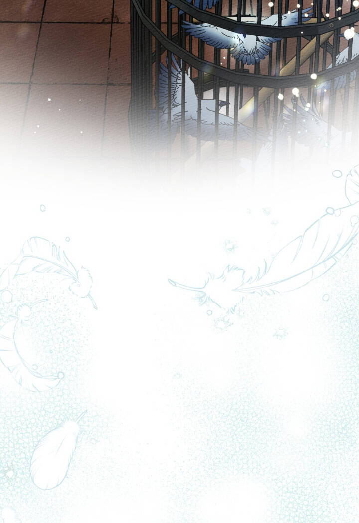 Dưới Bóng Cây Sồi Chapter 64 - Trang 2