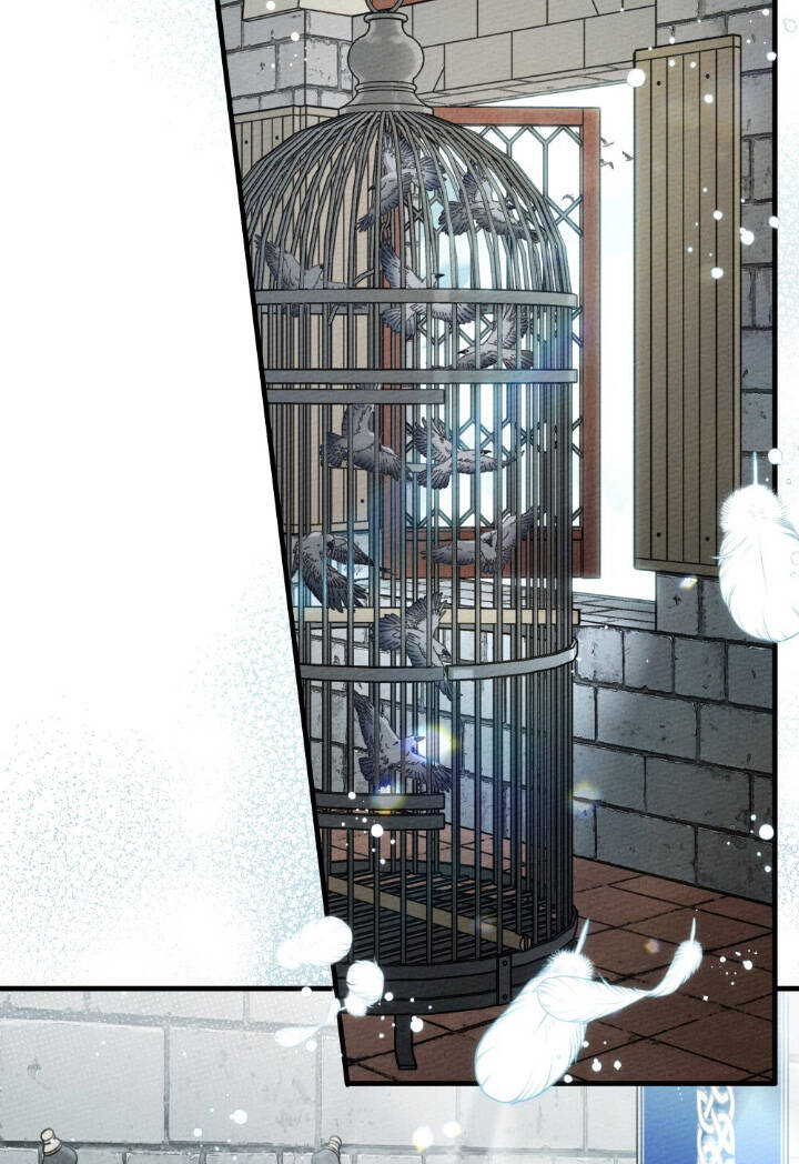 Dưới Bóng Cây Sồi Chapter 64 - Trang 2