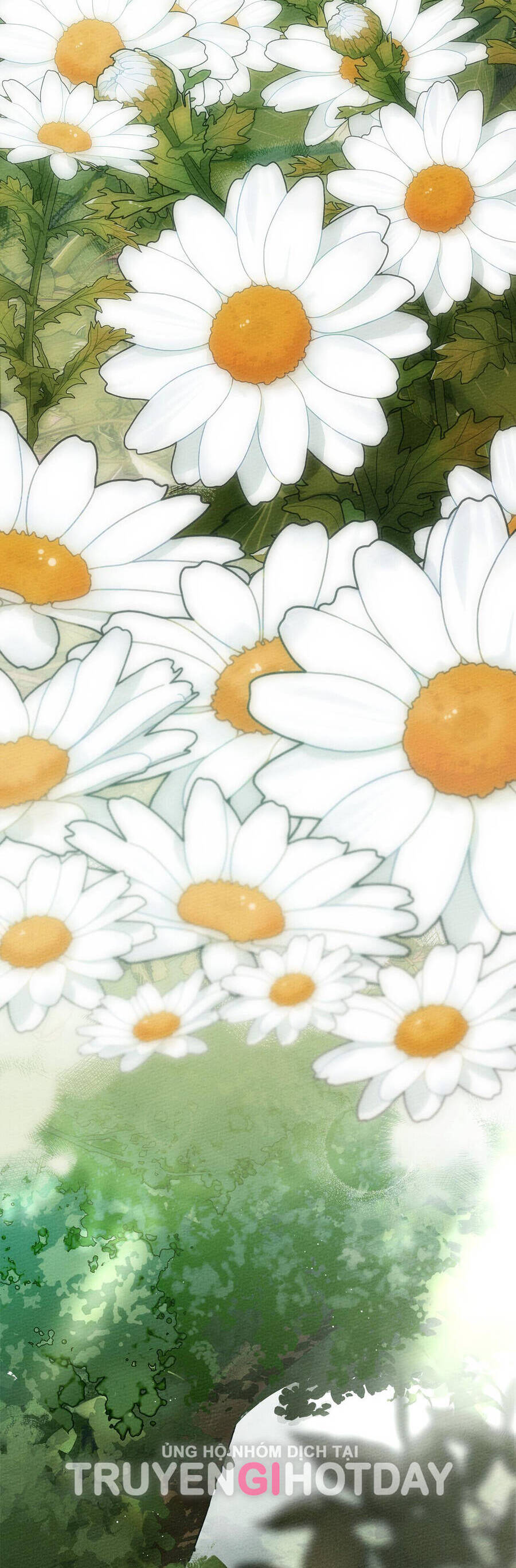 Dưới Bóng Cây Sồi Chapter 76.1 - Trang 2