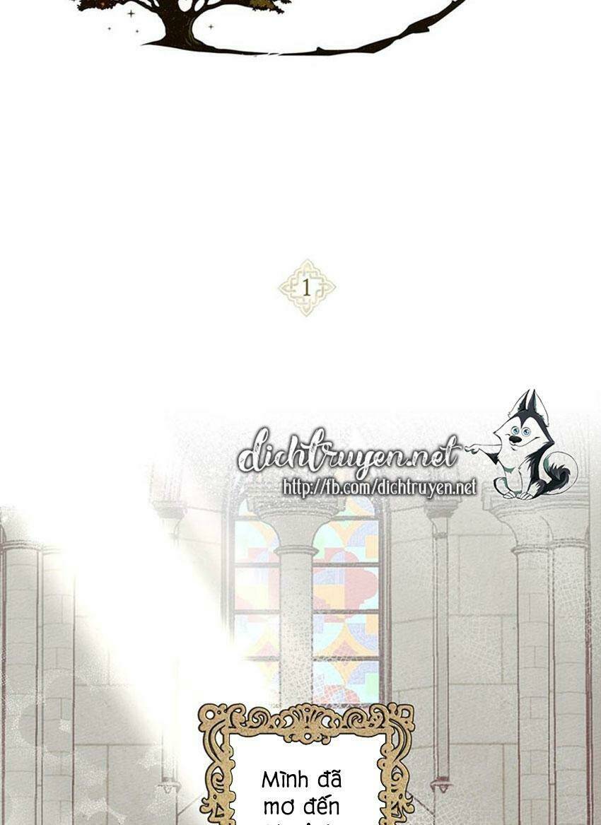 Dưới Tán Cây Sồi Chapter 1 - Trang 2