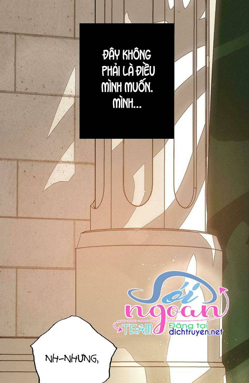 Dưới Tán Cây Sồi Chapter 1 - Trang 2