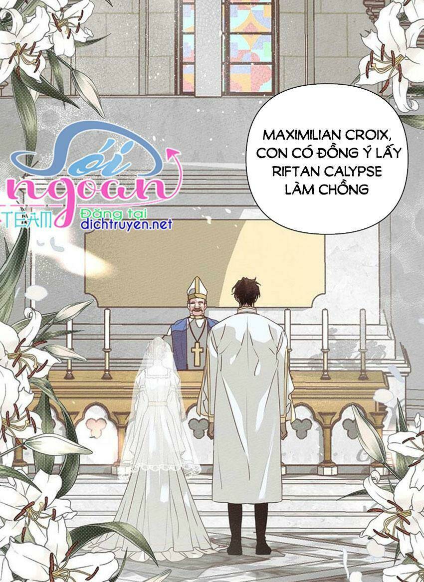 Dưới Tán Cây Sồi Chapter 1 - Trang 2