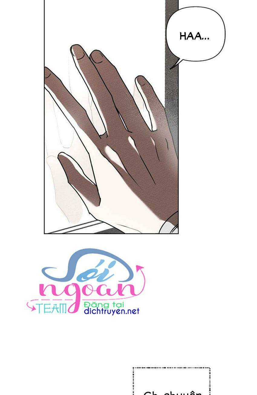 Dưới Tán Cây Sồi Chapter 1 - Trang 2