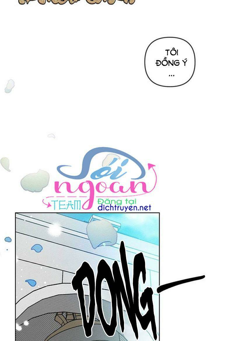 Dưới Tán Cây Sồi Chapter 1 - Trang 2