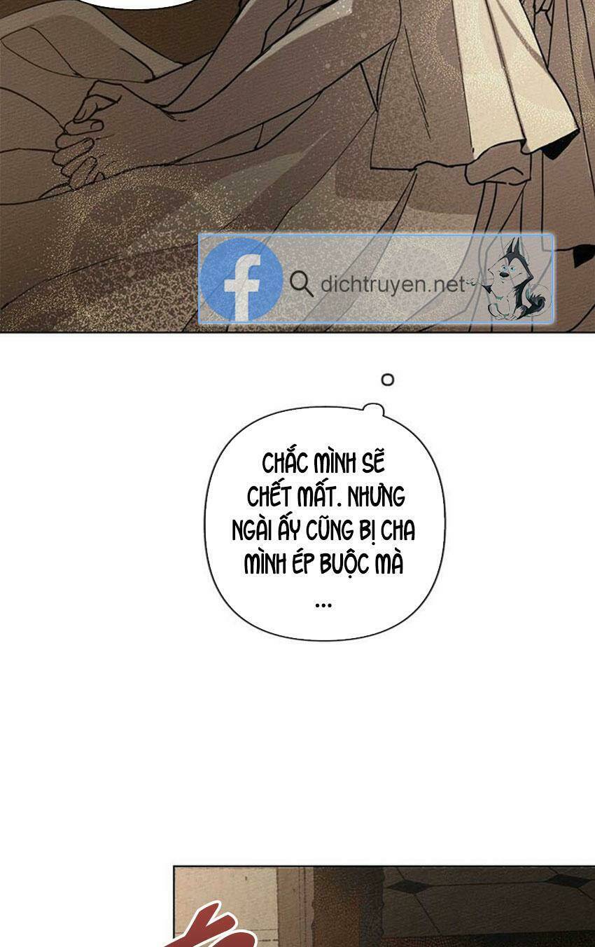 Dưới Tán Cây Sồi Chapter 1 - Trang 2