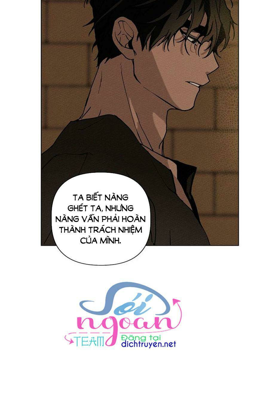 Dưới Tán Cây Sồi Chapter 1 - Trang 2