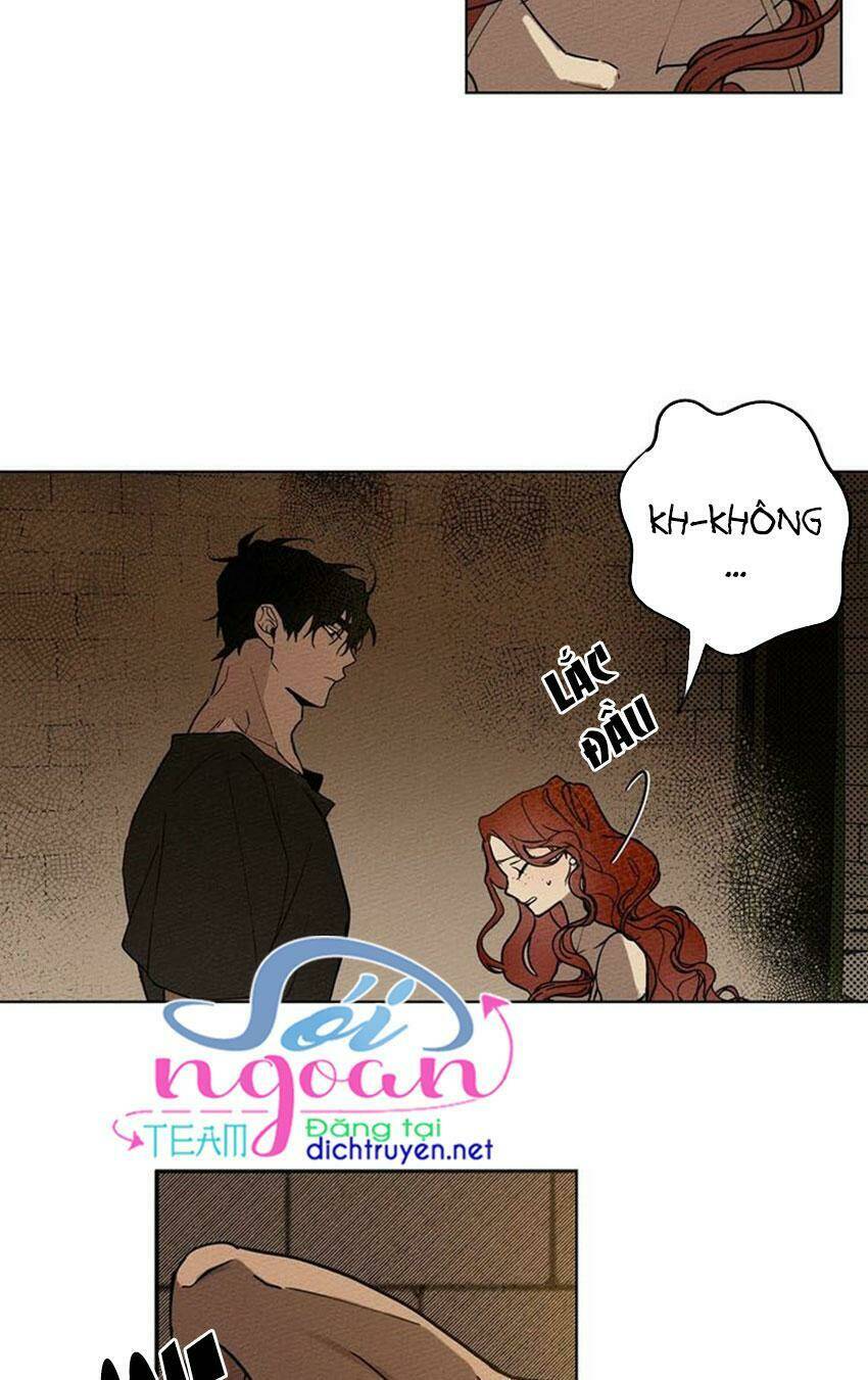 Dưới Tán Cây Sồi Chapter 1 - Trang 2