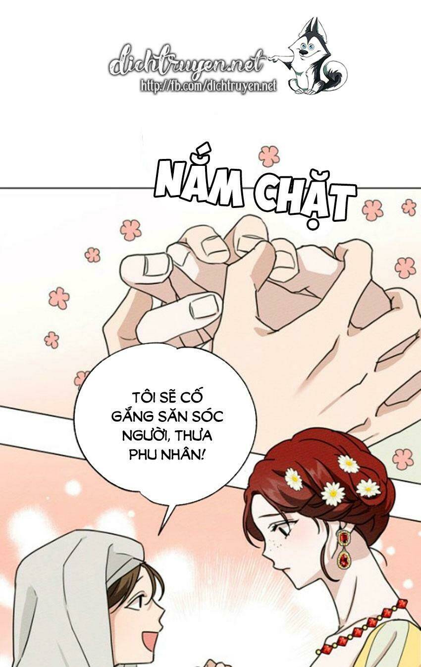 Dưới Tán Cây Sồi Chapter 11 - Trang 2