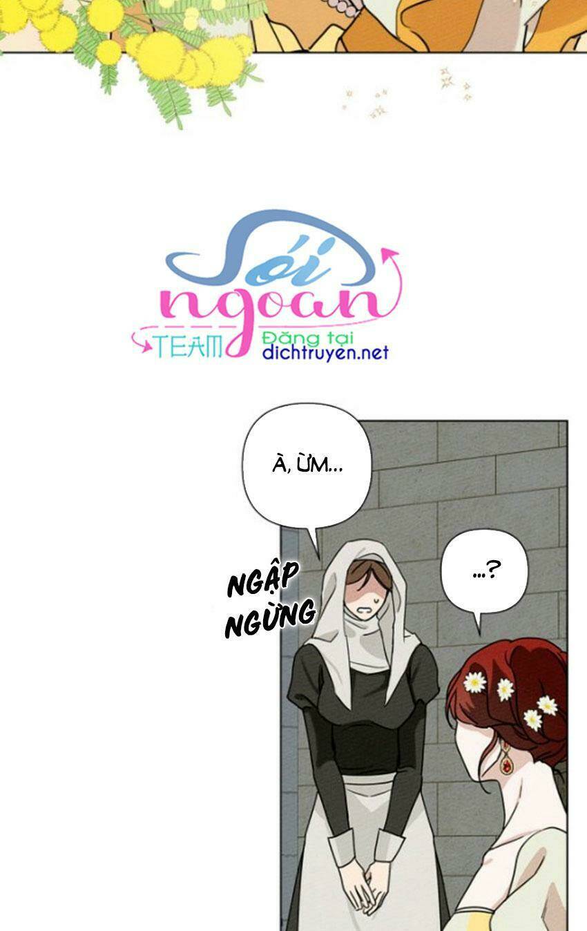 Dưới Tán Cây Sồi Chapter 11 - Trang 2