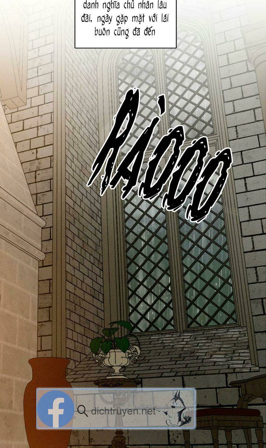 Dưới Tán Cây Sồi Chapter 13 - Trang 2