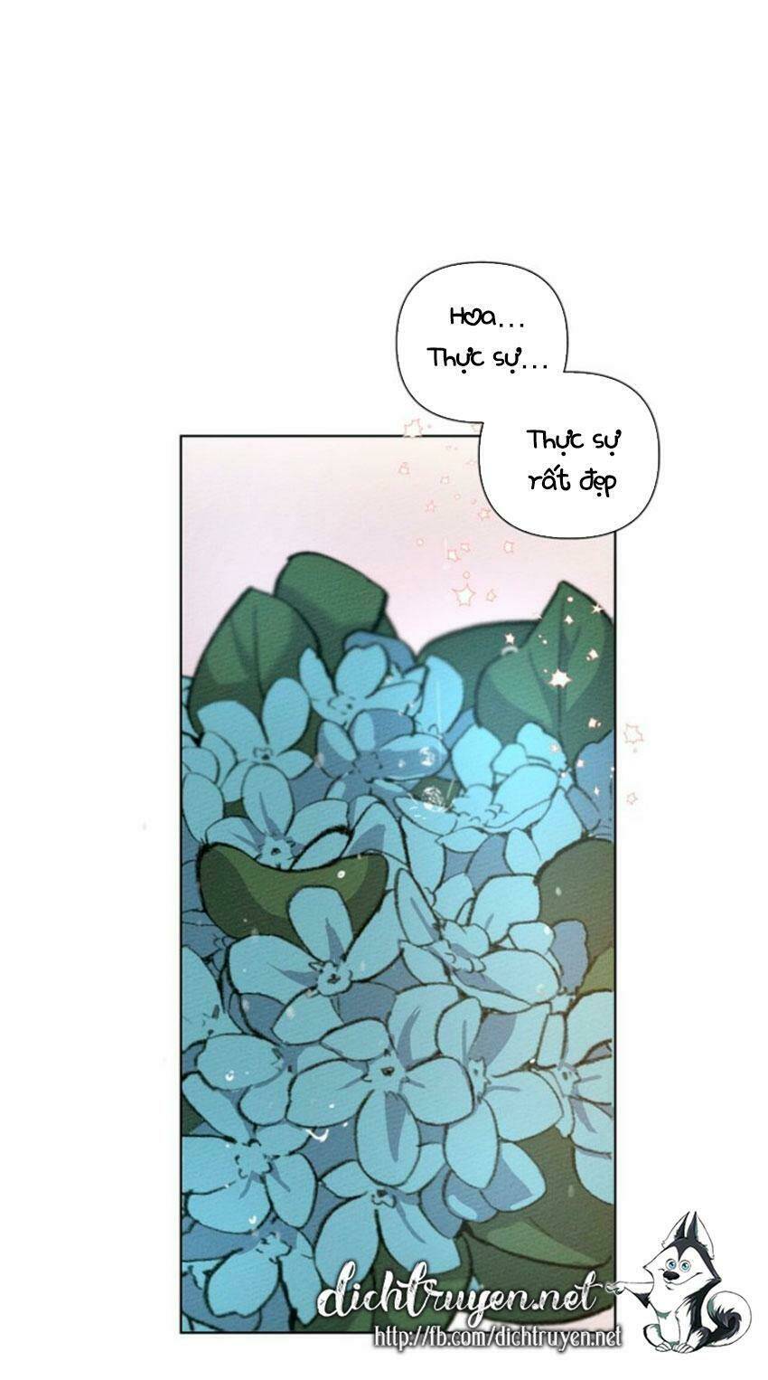 Dưới Tán Cây Sồi Chapter 13 - Trang 2