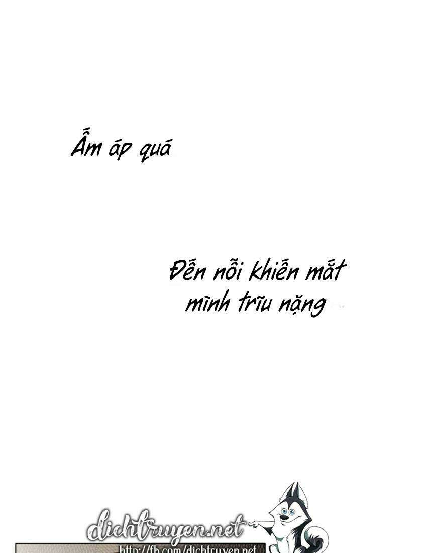 Dưới Tán Cây Sồi Chapter 13 - Trang 2