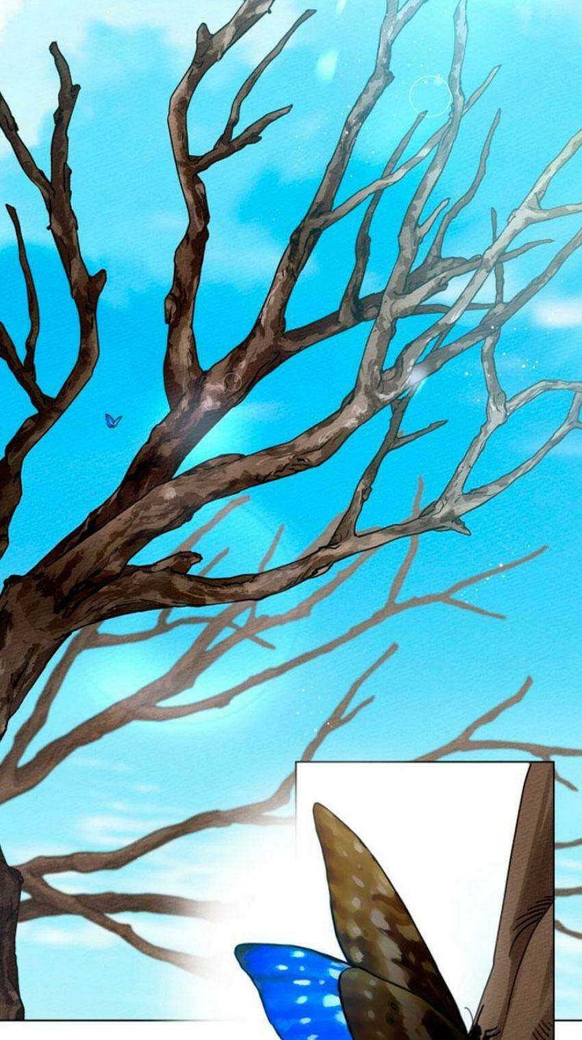 Dưới Tán Cây Sồi Chapter 16 - Trang 2