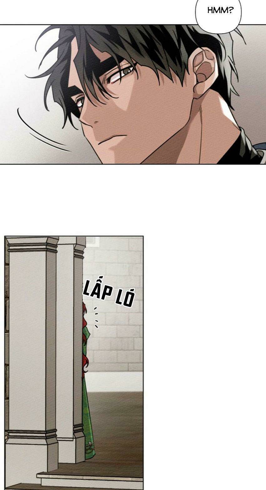 Dưới Tán Cây Sồi Chapter 16 - Trang 2