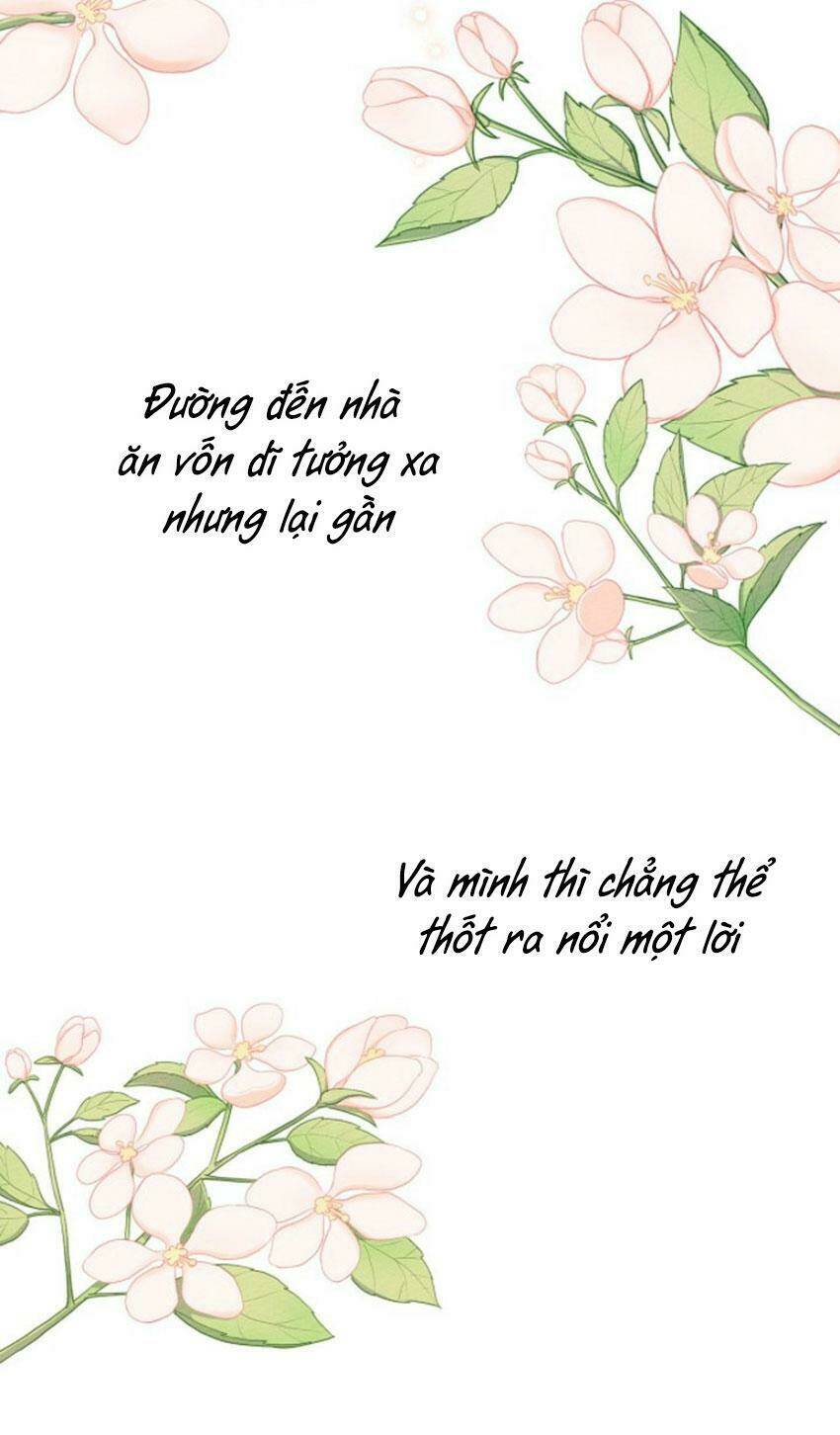 Dưới Tán Cây Sồi Chapter 16 - Trang 2